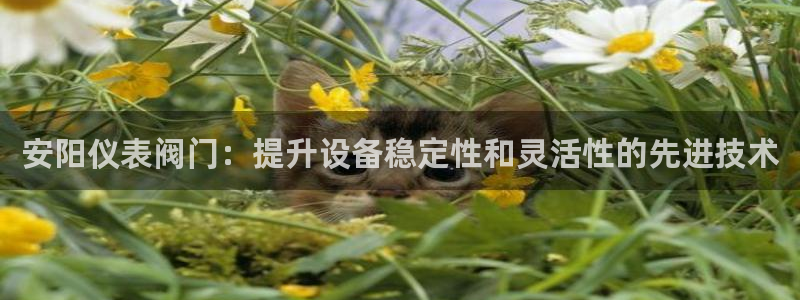 新宝gg开户
