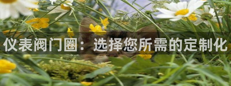 新宝gg怎样代理