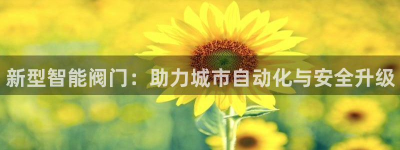 新宝 gg 登录