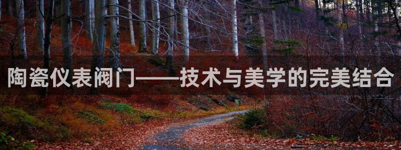 新宝GG娱