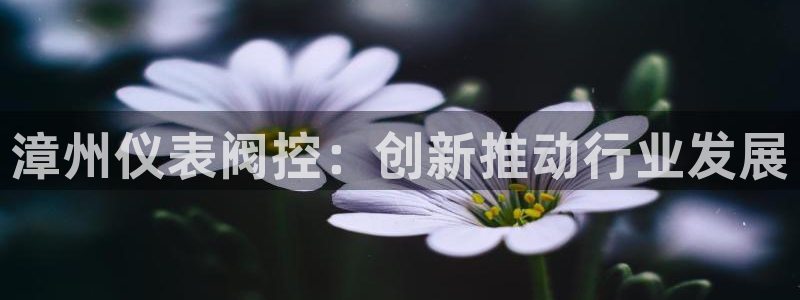 新宝gg6娱乐注册网址