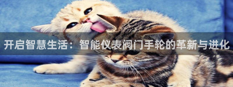 新宝gg官方