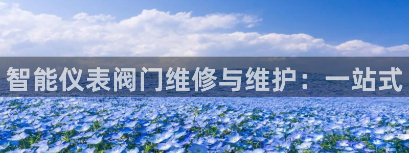 新宝GG勒55312