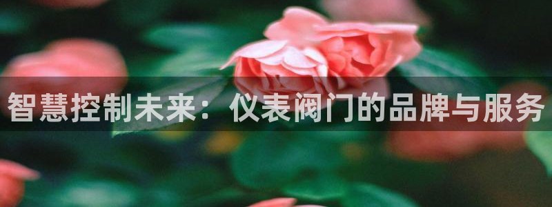 新宝gg登录新