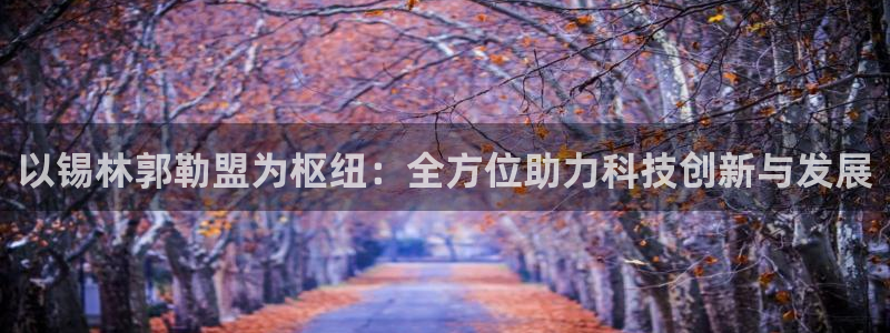 新宝皇冠gg