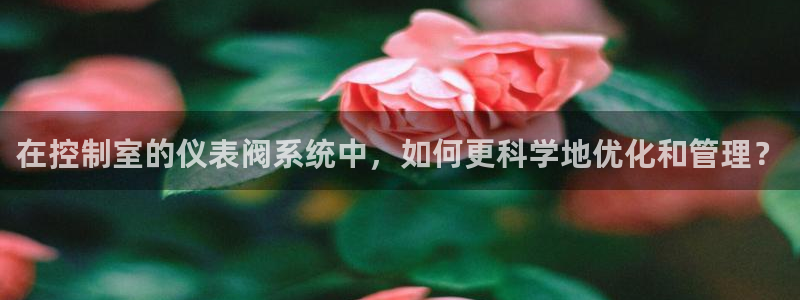 创造奇迹 新宝gg