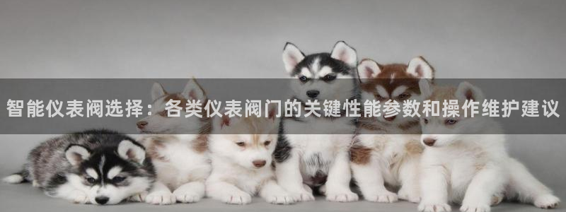 新宝gg登陆平台
