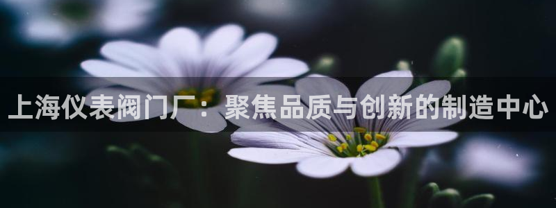55新宝gg