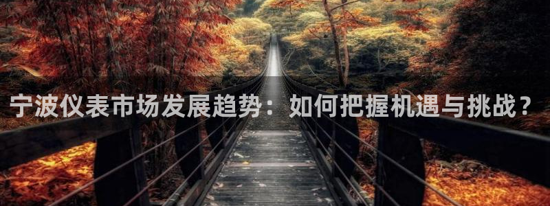 新宝GG链接