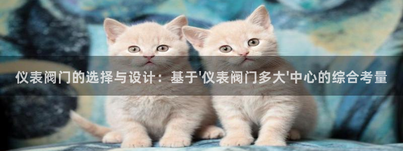 新宝gg是什么